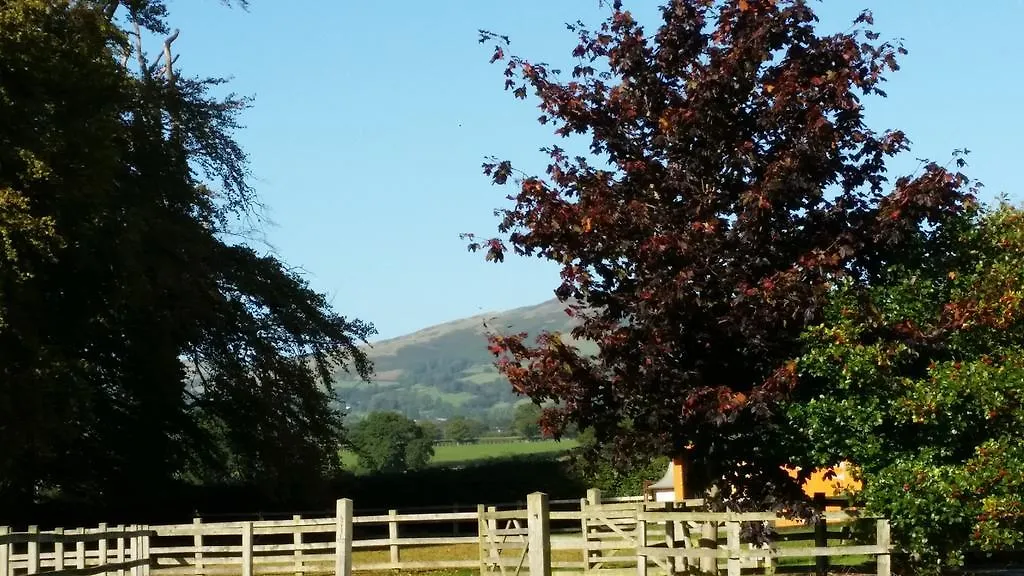 Ty Derw Country House B&B-1